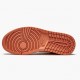 Nike Air Jordan 1 Mid Apricot Orange Apricot Agate Terra Blush Dam/Herr DH4270-800 Skor
