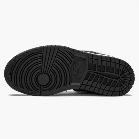 Nike Air Jordan 1 High OG Twist Dam/Herr CD0461-007 Skor