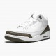 Nike Air Jordan 3 Retro Mocha Dam/Herr 136064-122 Skor