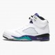 Nike Air Jordan 5 Retro Grape Herr 136027-108 Skor