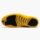 Jordan 12 Retro Black University Gold Svart/University Guld Jordan Skor