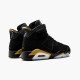 Jordan 6 Retro DMP (2020) Svart/Metallic Guld Jordan Skor