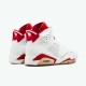 Jordan 6 Retro Alternate Hare Vit/Gym Röd-Pure Platina Jordan Skor